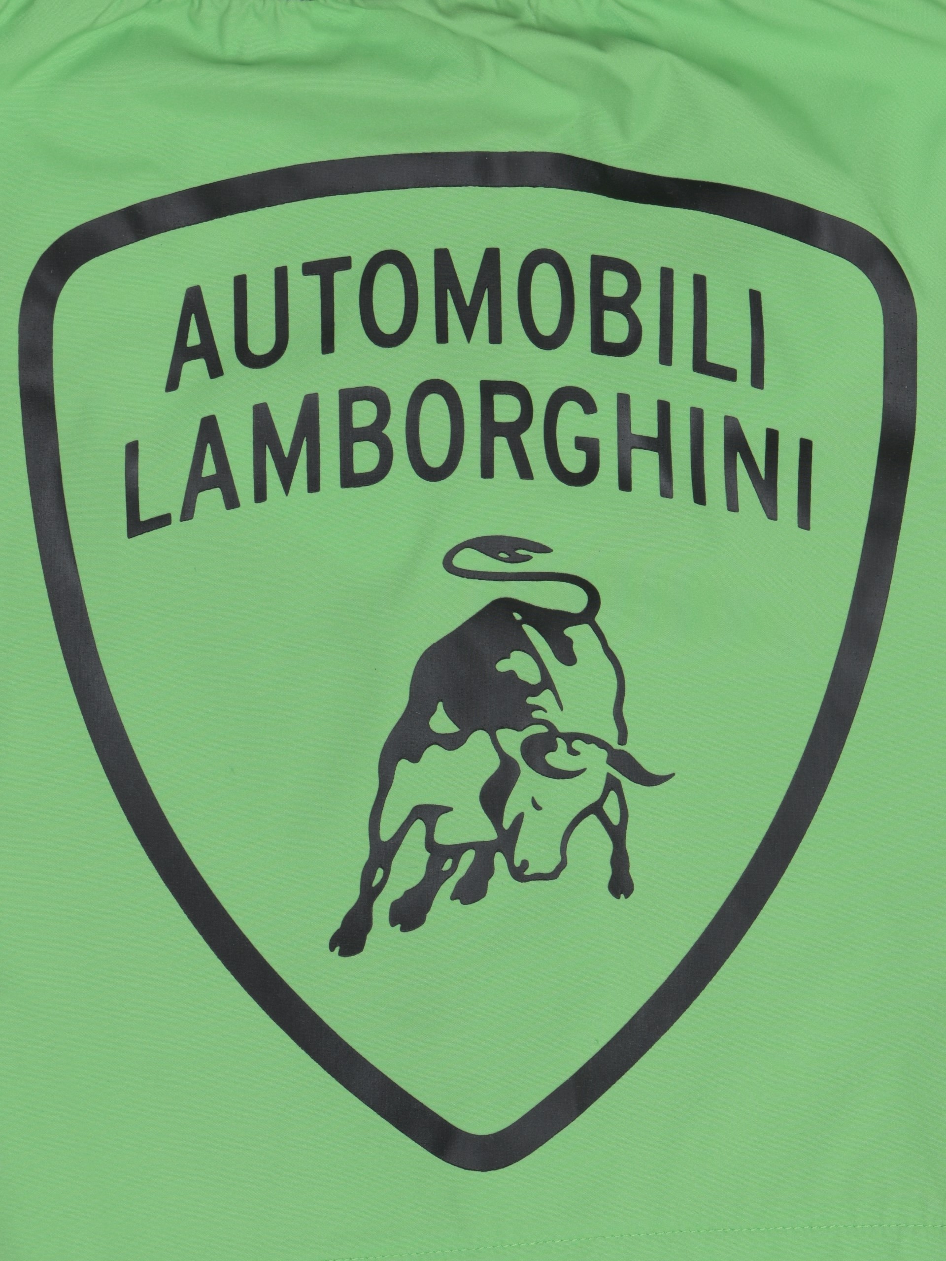 Automobili Lamborghini zwemshort hidden pattern groen