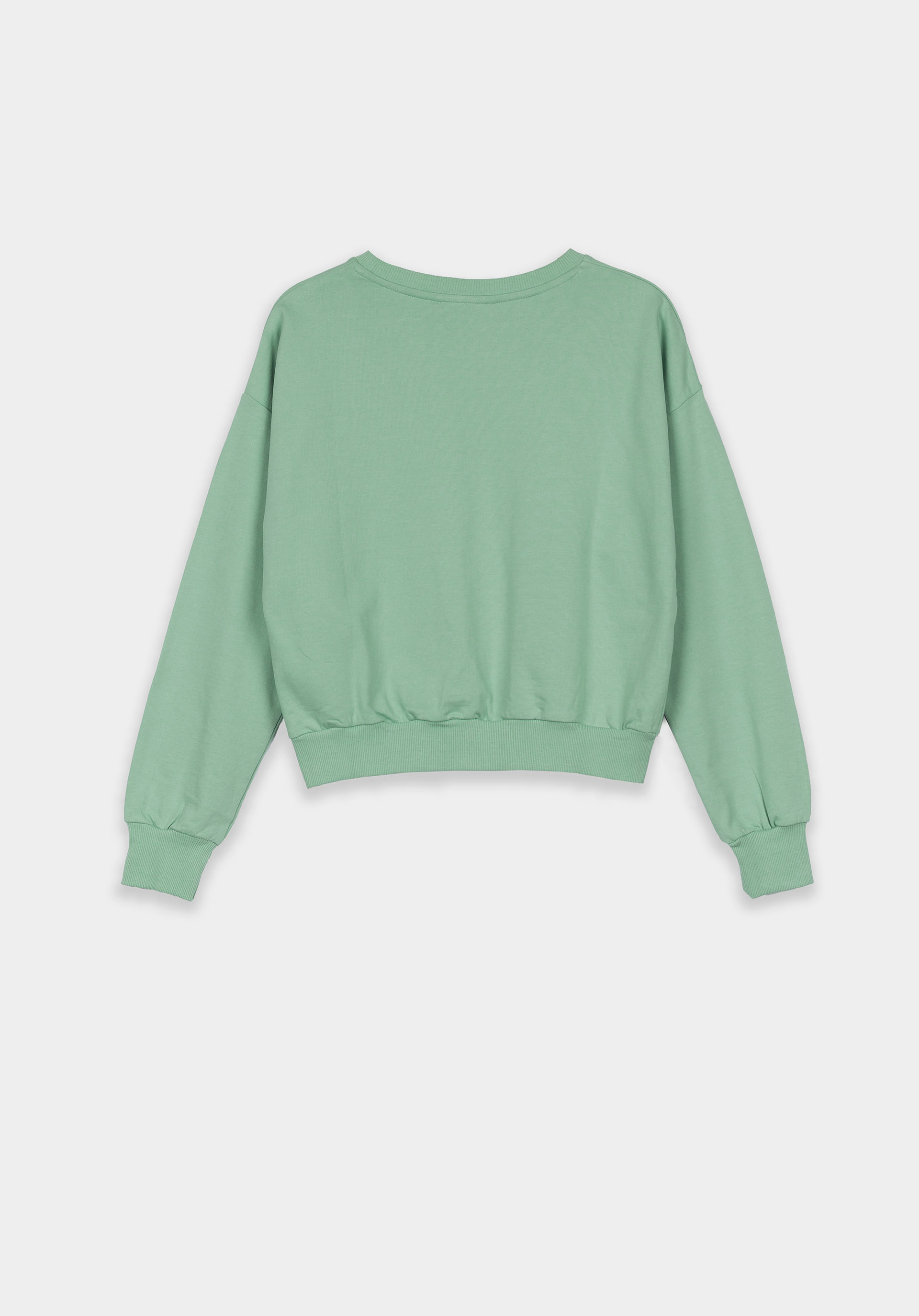 Tiffosi sweater basic mint