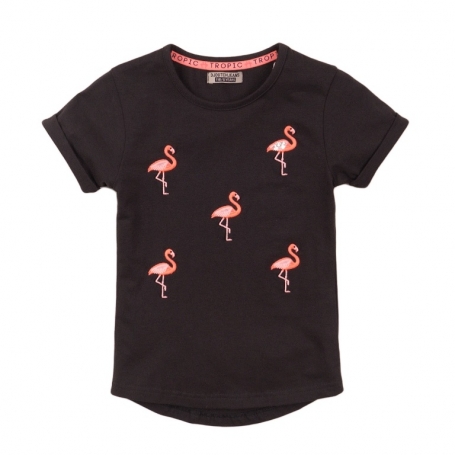 images/productimages/small/dj-dutchjeans-t-shirt-flamingo-front.jpg